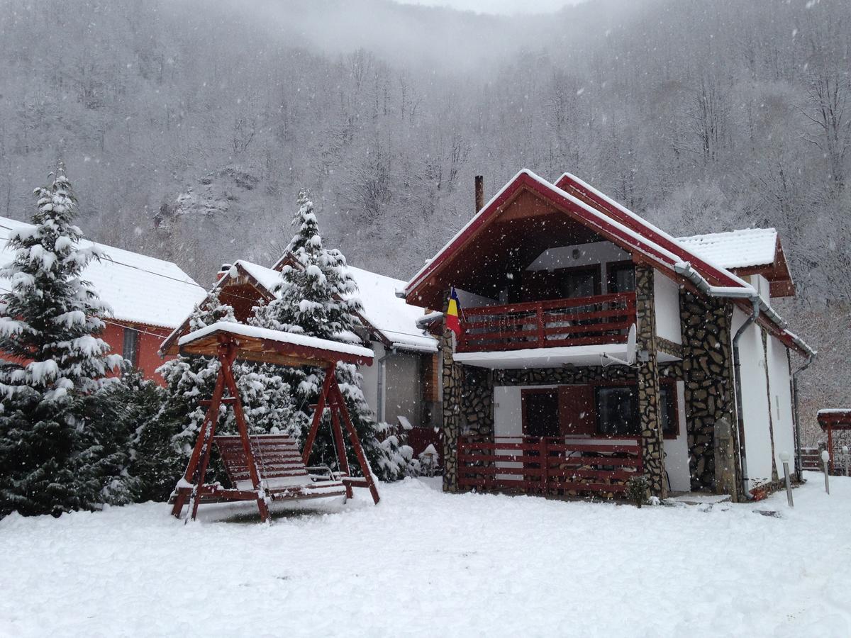 Villa Cabana Florea Rîu de Mori Exterior foto